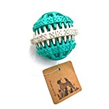 PetFun Puppy MINI Small Treat Food Ball TPR Dental Care Teething Toy