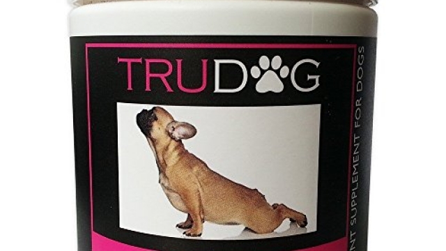 Joint & Flexibility Support for Dogs – Free Me: Advanced Joint Care Supplement (60g) – All Natural Ingredients Reduce Inflammation and Discomfort – Increases Joint Cushioning with Enhanced Absorption Reviews Joint & Flexibility Support for Dogs – Free Me: Advanced Joint Care Supplement (60g) – All Natural Ingredients Reduce Inflammation and Discomfort – Increases Joint Cushioning with Enhanced Absorption Reviews