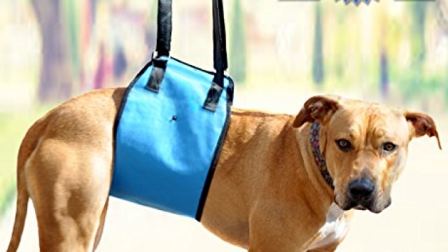 Dog Lift Harness By AMZpets – XL. Support Sling Helps Dogs With Weak Legs Stand Up, Walk, Climb Stairs & Get into Cars.. Best Alternative to Dog Wheelchair. RECOMMENDED BY VETERINARIANS – Extra Large Dog Lift Harness By AMZpets – XL. Support Sling Helps Dogs With Weak Legs Stand Up, Walk, Climb Stairs & Get into Cars.. Best Alternative to Dog Wheelchair. RECOMMENDED BY VETERINARIANS – Extra Large