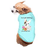 French Bulldog Cute Dog Hoodie Costumes