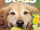 National Geographic Kids Everything Dogs: All the Canine Facts, Photos, and Fun You Can Get Your Paws On!