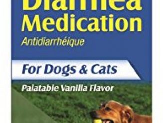 Lambert Kay Pet Pectillin Diarrhea Medication for Dogs and Cats, 4-Ounce