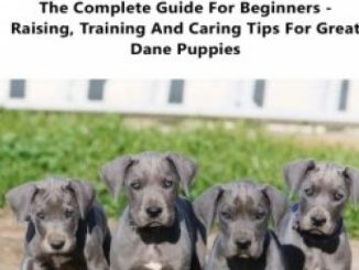 Great Dane Puppy Care & Training: The Complete Guide for Beginners – Raising, Training and Caring Tips for Great Dane Puppies!