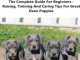 Great Dane Puppy Care & Training: The Complete Guide for Beginners – Raising, Training and Caring Tips for Great Dane Puppies!