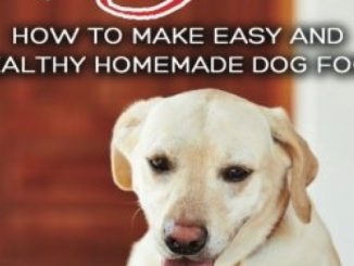 Dog Food Recipes: How to Make Easy and Healthy Homemade Dog Food