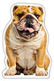 iLeesh English Bulldog Shaped Pillow