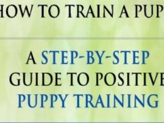 Puppy Training: How To Train a Puppy: A  Step-by-Step Guide to Positive Puppy Training (puppy training books,puppy training,dog training books,puppy … your dog,Puppy training books) (Volume 3)