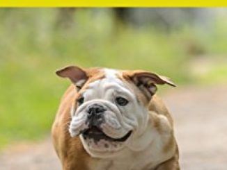 Bulldog: Children’s Picture Book about Bulldog for Kids (Dogs for Kids Series) Reviews