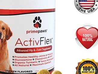 ActivFlex, Best Glucosamine for Dogs, Safe Arthritis Pain Relief, All Natural Hip & Joint Supplement for Dogs, Improves Hip Dysplasia, Chondroitin, Turmeric, MSM for Dogs, 120 Soft Chews, Made in USA Reviews
