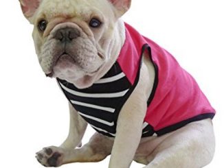 Frenchie Pet Clothing Peach Color with Black and White Classic Stripe Dog Cloth for French Bulldog or Pug Wear Reviews