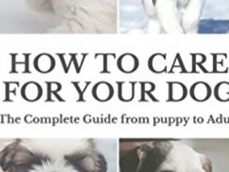 How to Care for Your Dog: The Complete Guide from Puppy to Adult: A guide to caring for your dog including food, nutrition, behaviour, habits, training and vaccinations Reviews