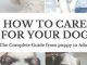 How to Care for Your Dog: The Complete Guide from Puppy to Adult: A guide to caring for your dog including food, nutrition, behaviour, habits, training and vaccinations Reviews