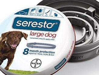 Bayer Seresto Flea and Tick Collar for Large Dog, Over 18 lb, 8 Month Protection