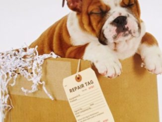 Bulldog Puppies Mini Wall Calendar Reviews