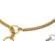 Didog Luxury Titan Choke Chain Collar,Best for Pit Bull, Doberman, Mastiff, Bulldog(22″ ,Golden)