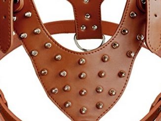 DidogStudded Spiked Leather Dog Harness for Medium and Large Dogs,Fit Pit Bulldog Terrier Mastiff Puppy Boxer(Brown)