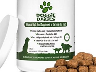 Doggie Dailies Glucosamine for Dogs, 225 Soft Chews, Advanced Hip and Joint Supplement with Glucosamine, Chondroitin, MSM, Hyaluronic Acid, and CoQ10, Premium Joint Relief for Dogs, Made in the USA