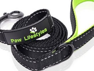 Extra Heavy Duty Dog Leash by Paw Lifestyles – 3mm Thick, Padded Handle, 6ft long – 1″ Wide, Perfect for Medium and Large Sized Dogs