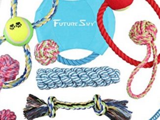 Futuresky Pubby Dog Toys 10 Pack Gift Set Ball Rope and Chew Squeaky Toys Variety Pet Puppies Toys set for Small and Medium Doggie