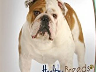 Healthy Breeds Multi Vitamin Plus Chewable tablet for Bulldog 180Count Reviews