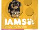 IAMS PROACTIVE HEALTH Smart Puppy Small and Toy Breed Dry Puppy Food 12.5 Pounds