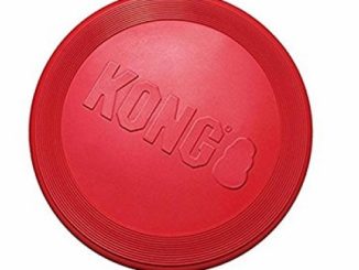 Kong Rubber Flyer, Large, Red