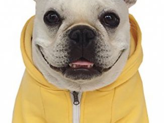 Moolecole Zip-up Hoodie Pet Costume Dog Clothes Outfit Funny Pet Apperal For French Bulldog And Pug Yellow 2XL