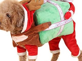 NACOCO Dog Costume Carrying Gift Box with Santa Claus Pet Cat Costumes Funny Christmas Party Festival Holiday Outfit (L)