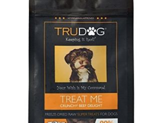 Real Meat Organic Dog Treats – Treat Me: Crunchy Beef Delight Freeze-Dried Raw Super Treats (2.5oz) – 100% All Natural Treats Support Healthier Teeth and Gums, Skin and Coat, and A Boosted Immune System