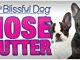 The Blissful Dog All 4 French Bulldog Nose Butter, 0.15-Ounce Reviews