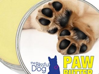 The Blissful Dog Paw Butter for Dog Rough and Dry Paws, 1-Ounce