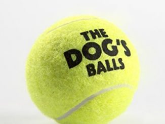 The Little Dog’s Balls – 6 Small Yellow Tennis Balls for Dogs – Premium Mini Dog Toy, Puppies, Small Dogs & Cats, Puppy Exercise, Play, Training & Fetch. No Squeaker, the King Kong of Little Dog Balls