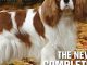 The New Complete Dog Book