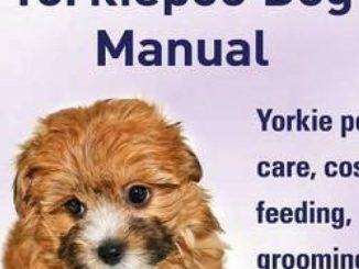 Yorkie Poos. the Ultimate Yorkie Poo Dog Manual. Yorkiepoo Care, Costs, Feeding, Grooming, Health and Training All Included.