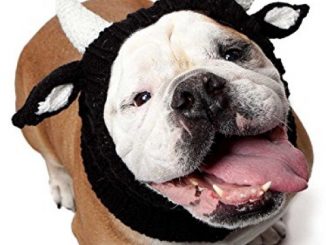 Zoo Snoods – The Original Knit Bull Dog Snood (size: large) Reviews