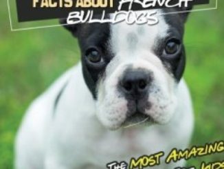 Amazing Pictures and Facts About French Bulldogs: The Most Amazing Fact Book for Kids About French Bulldogs (Kid’s U)