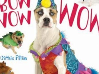 Bow Wow WOW!: Fetching Costumes for Your Fabulous Dog
