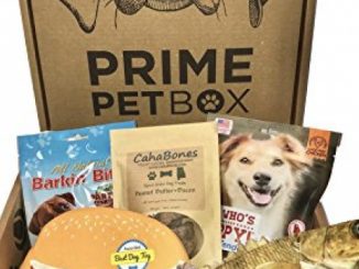 Prime Pet Box ‘Surf n Turf’ Dog Gift Box Care Package – Made in the USA Premium Treats, 18″ Fish & Burger Toy