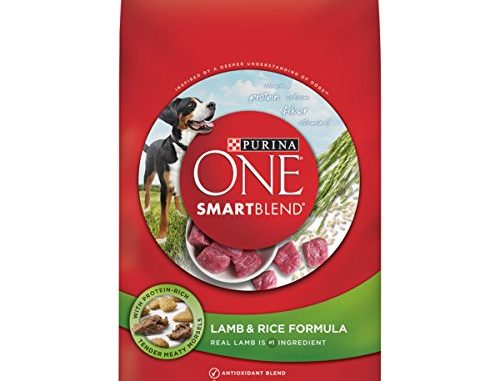 Purina One Natural Dry Dog Food Smartblend Lamb & Rice Formula 31.1 Lbs.bag 001780014941 : Purina ONE SmartBlend Natural Chicken & Rice Formula Dry ... : Maybe you would like to learn more about one of these?