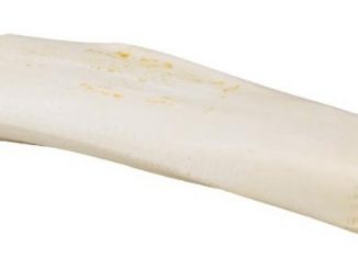 Redbarn Filled Bone Peanut Butter, Large 6-inch Reviews