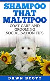 SHAMPOO THAT MALTIPOO: COAT CARE AND GROOMING SOCIALISATION TIPS