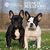 American Kennel Club French Bulldogs 2018 Wall Calendar