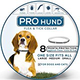 Flea and Tick Collar for Dogs - Natural Protection, Stops Bites, Itching, Protect from Insects, Larvae, Eggs and More - 8 MONTH Protection - Hypoallergenic, Waterproof, & Fully Adjustable