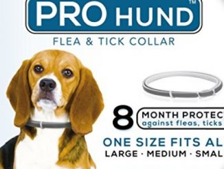 Flea and Tick Collar for Dogs – Natural Protection, Stops Bites, Itching, Protect from Insects, Larvae, Eggs and More – 8 MONTH Protection – Hypoallergenic, Waterproof, & Fully Adjustable