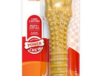 Nylabone Dura Chew Textured Toy, Peanut Butter Flavored Bone