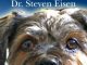 Dog Cancer: The Holistic Answer: A Step by Step Guide