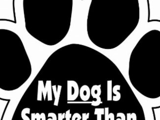 Imagine This My Dog is Smarter Than the President Paw Car Magnet, 5-1/2-Inch by 5-1/2-Inch