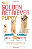 Your Golden Retriever Puppy Month by Month: Everything you need to know at each stage to ensure your cute & playful puppy gr