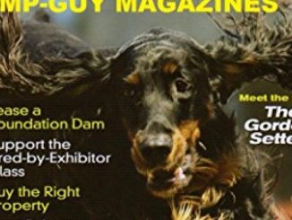 Dog World Magazine February 2007 Gordon Setter (Single Back Issue) Reviews