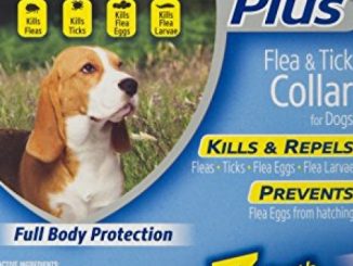 Hartz UltraGuard Plus Water Resistant 7 Month Protection Flea & Tick Collar for Dogs – 22in